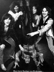 Krokus 