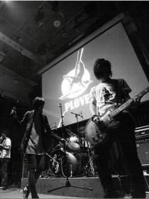 Plover 