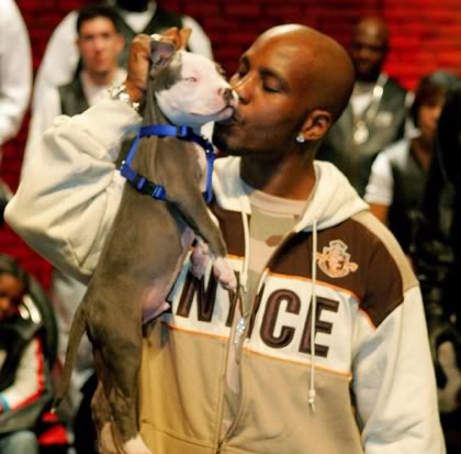 DMX 