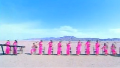 山鹰