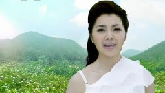 栀子花儿香