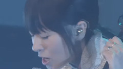 雨伞