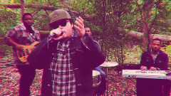 The Woods