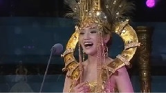 褐色的鹰