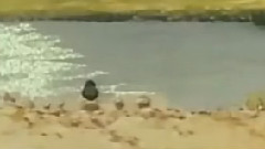 2人