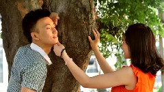 可惜不是你