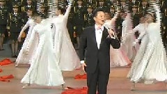 迎风飘扬的旗