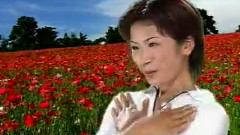 我要飞