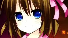 Nico - 梦花火