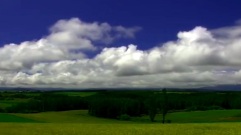 The Way Of The Wind