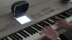 我的歌声里