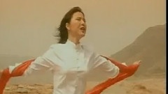 岁月的脚步