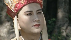 青青菩提树