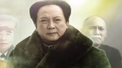 影视原声 - 电视剧
