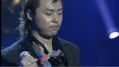 Rainbow Wing 爱 Limited