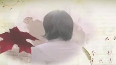 影视原声 - 电视剧
