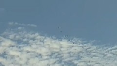 难忘今宵
