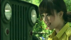 绿野仙踪