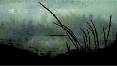 Nico - 萤