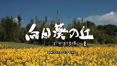 影视原声 - 