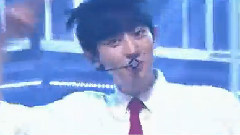 Show Champion Full Cut