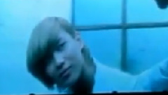 SHINee - 演唱会