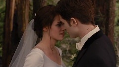 Flightless Bird