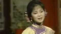 邓丽君 - 虞美人