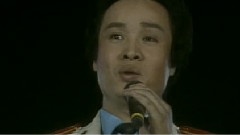 小白杨