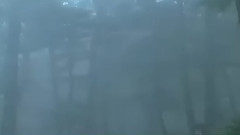 风雨人间