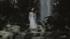 郁金香的祈祷