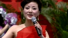 美丽的旗帜