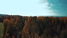 Külmking