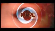 Fu Hua
