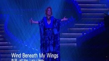 Wind Beneath My Wings