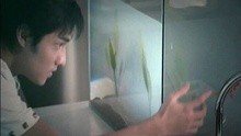 Shi Nian Shu Mu