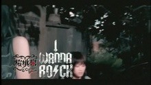 I Wanna Rock