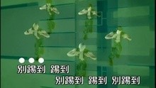 Ti Dao Tie Ban