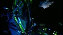 A Forest
