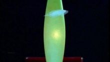 Zi Mei