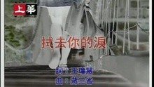 Shi Qu Ni De Lei