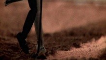 Le Roi Des Ombres