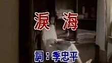  - 许茹芸-泪海
