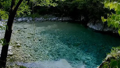 水心