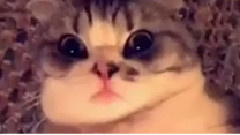 Olivia and Meredith