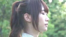 虫啃食了花朵