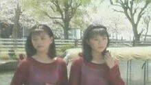 樱花姐妹 - 离愁海岸