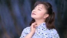 白冰冰 - 等待春天