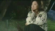 白冰冰 - 情火