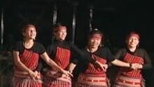 猎户座 - 我们都是一家人